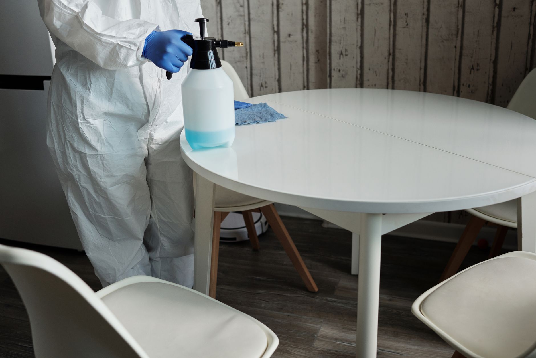Termite Treatment – Castroville