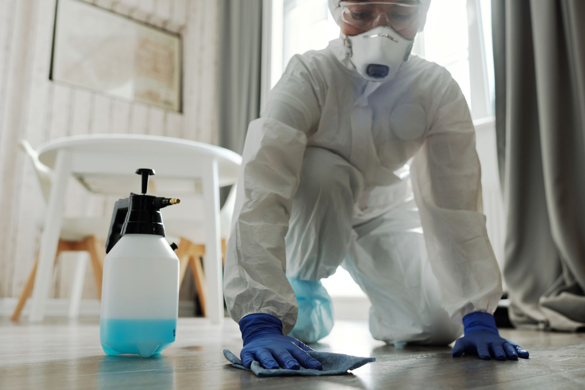 Rodent Control – Castroville
