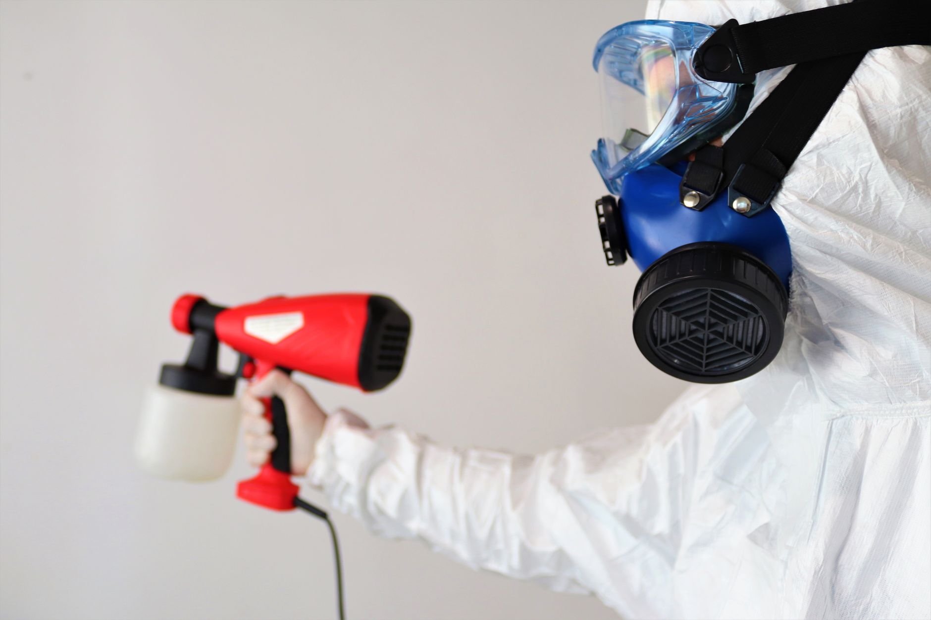 Ant & Roach Treatment – Castroville