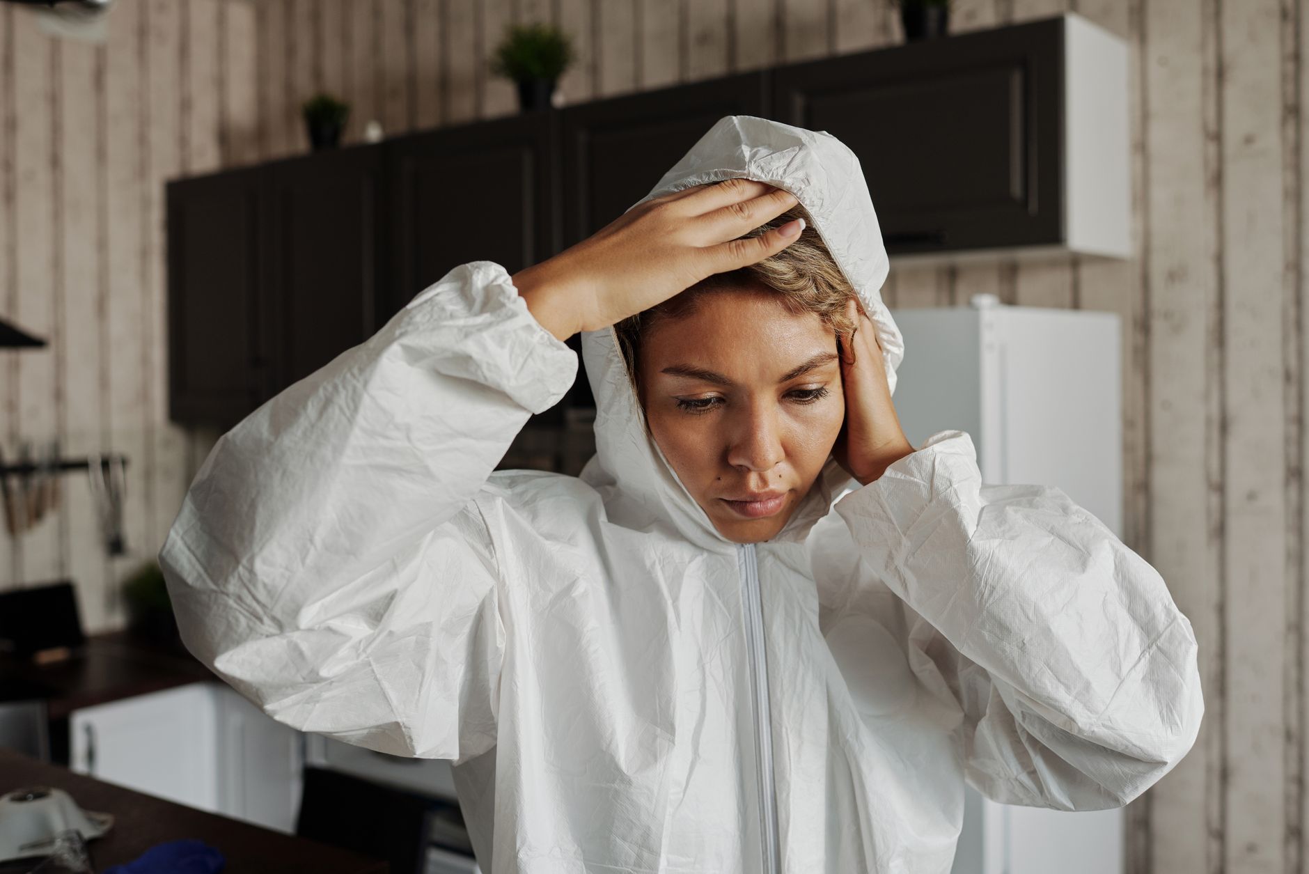 Wasp Nest Removal – Castroville